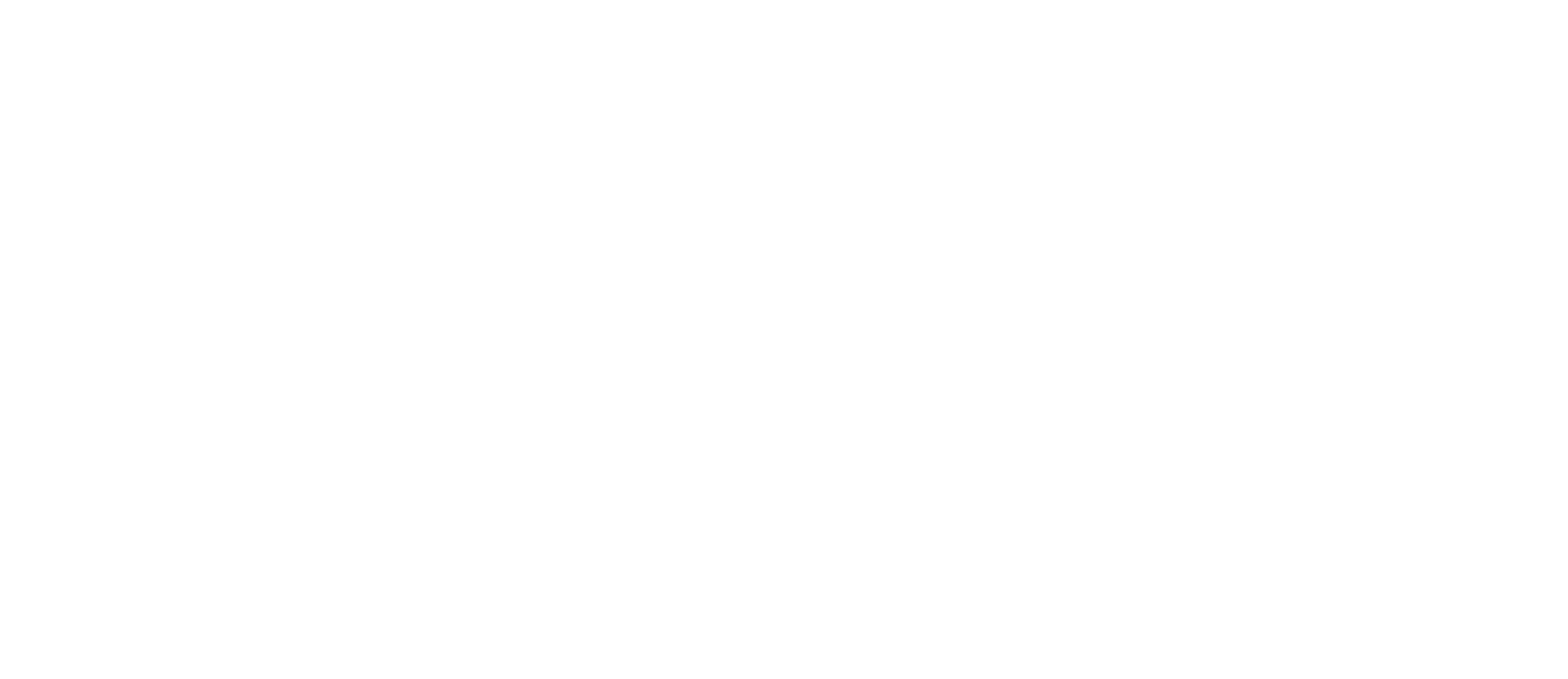 LOGO PRINCIPAL - HORIZONTAL white