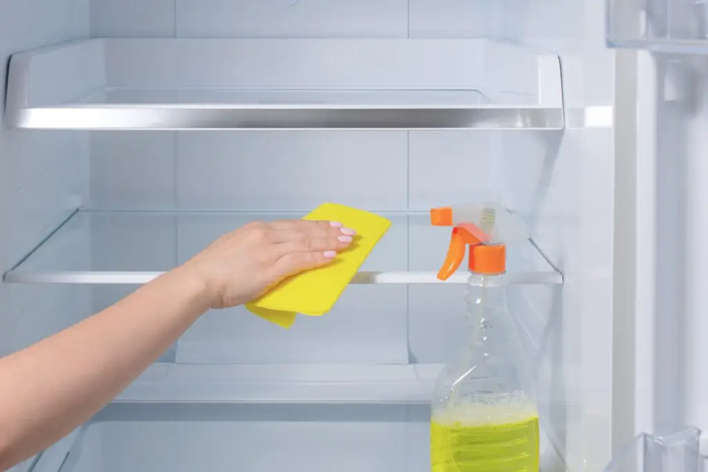 How to Keep Your Refrigerator Smelling Fresh? The Ultimate Guide